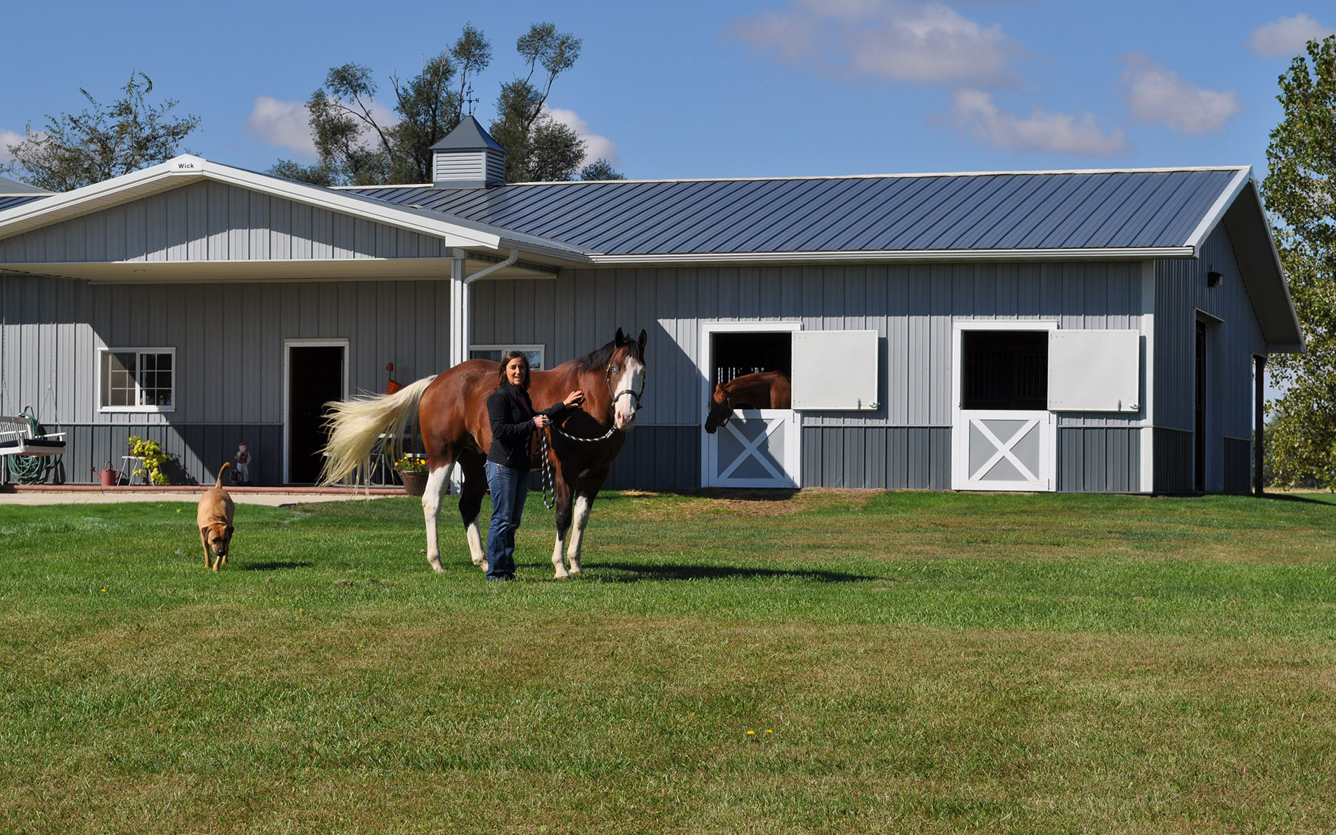 Horse barns and Stables